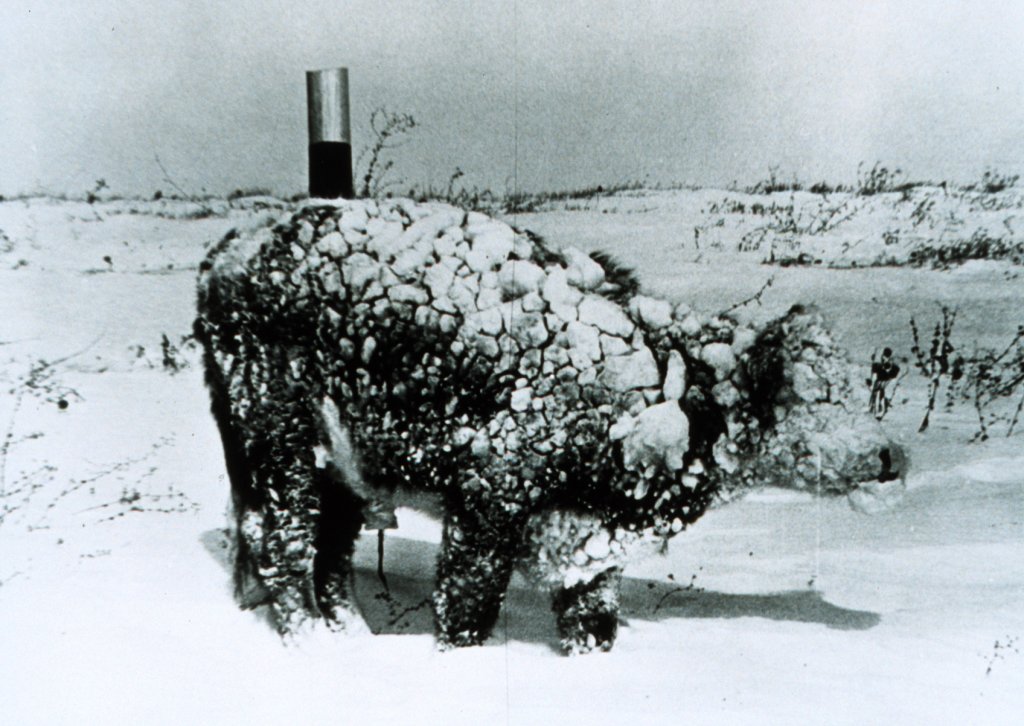 Buffalo in the blizzard.