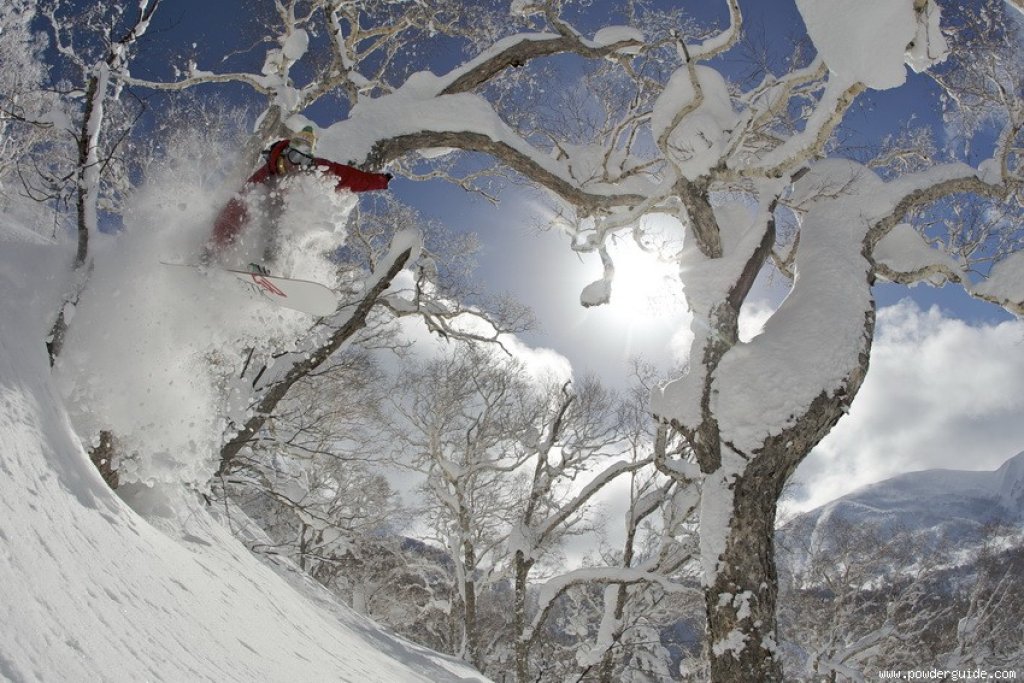 Perfect powder days can be seen as a gift from heaven, or you can do some skillful research and get them yourself?