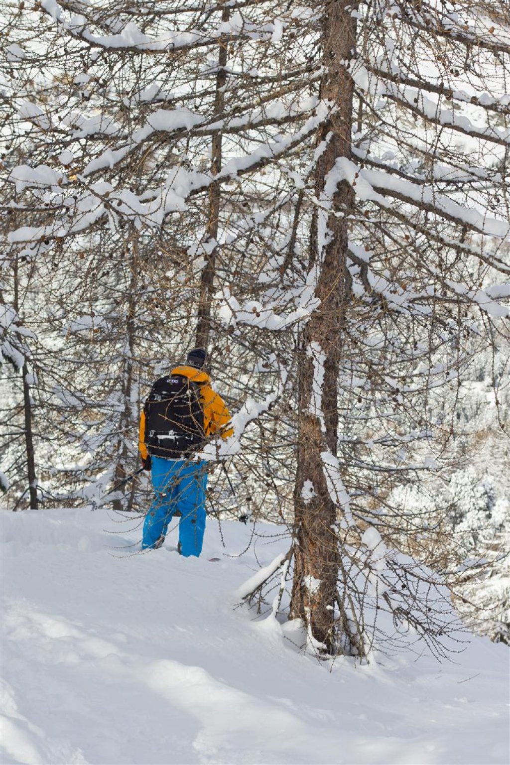 Backpack with skier on it in the forest