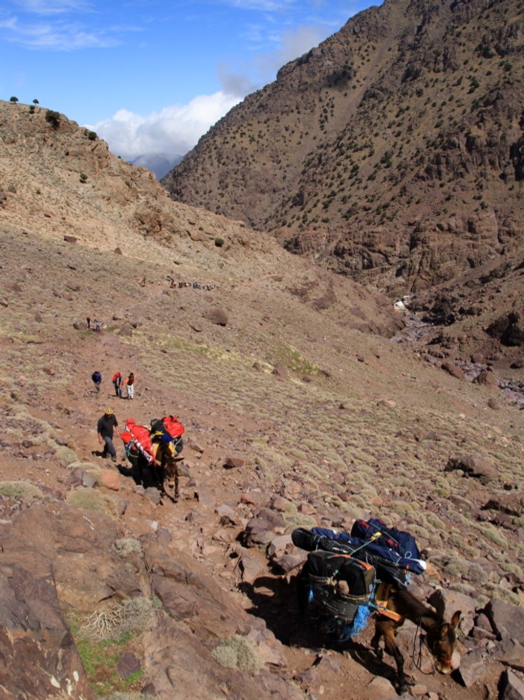 Ascent with light luggage. Thanks to the mules!