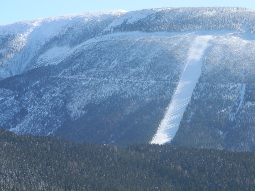 The slalom slope
