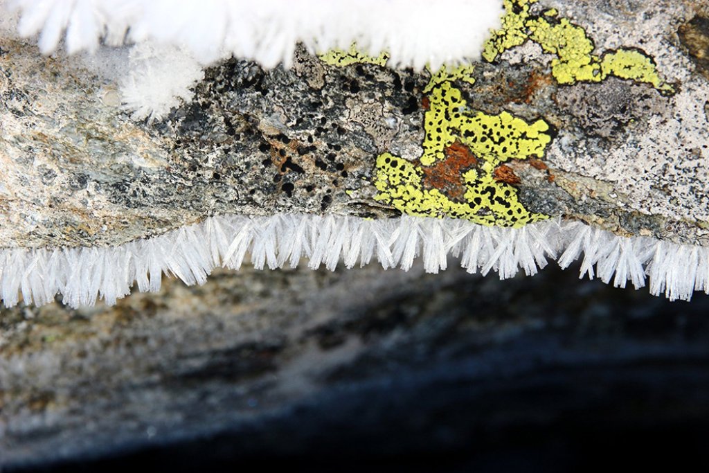 You can see not only frost but also the map lichen, which occurs exclusively on silicate rock.