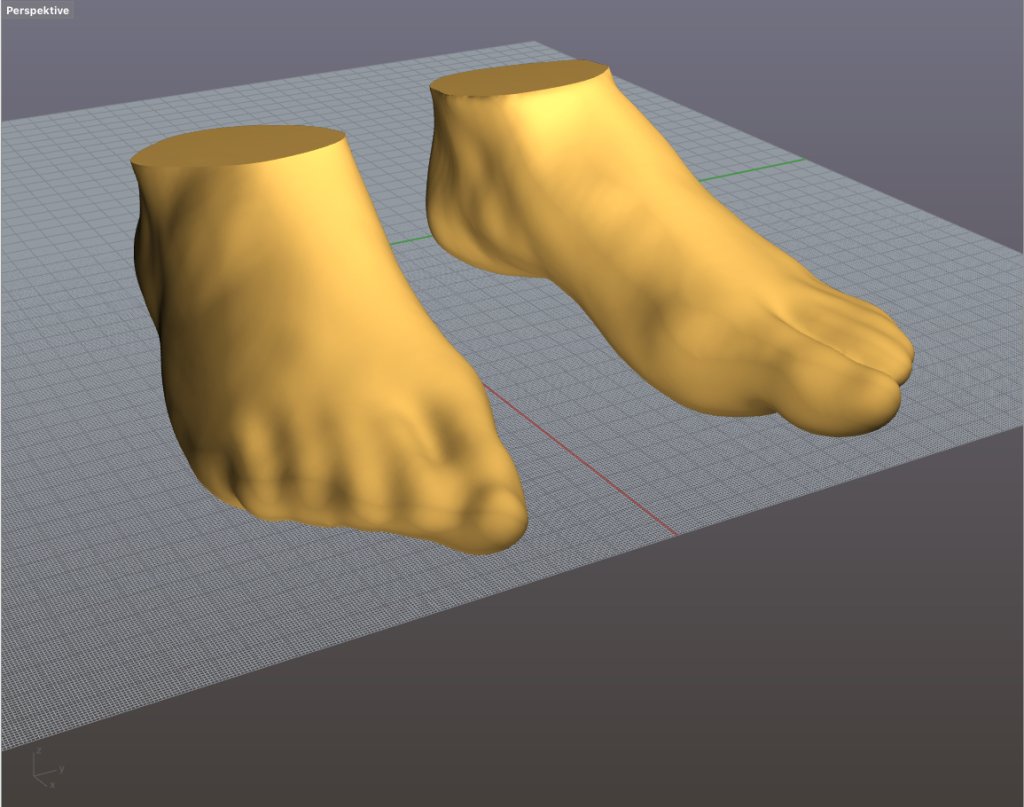 Scan of the foot for which insoles and shoes will later be printed.