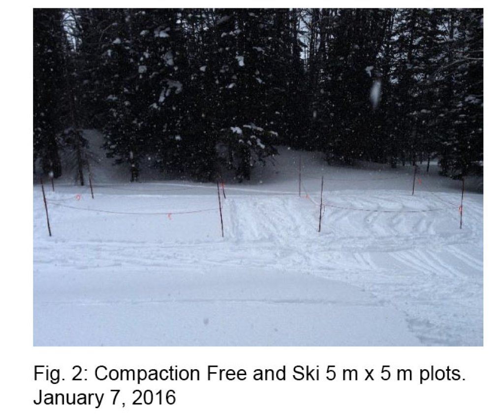 On the right the "ski" test field, on the left the natural comparison field