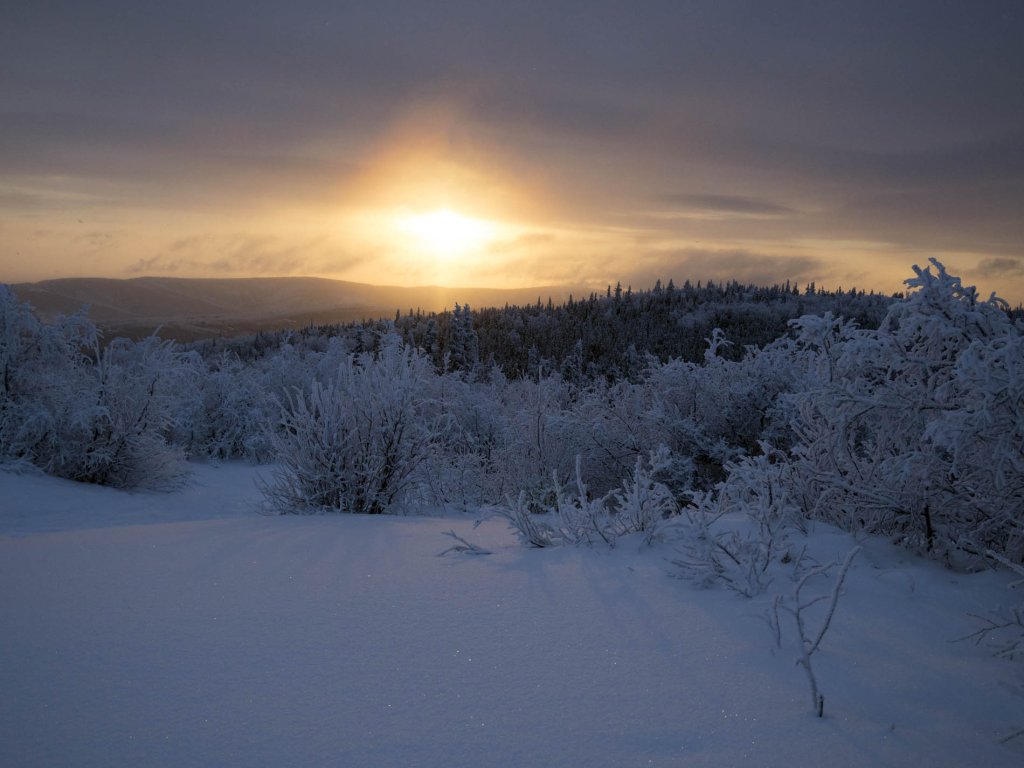 Winter landscape in the far north, also with unusually warm temperatures