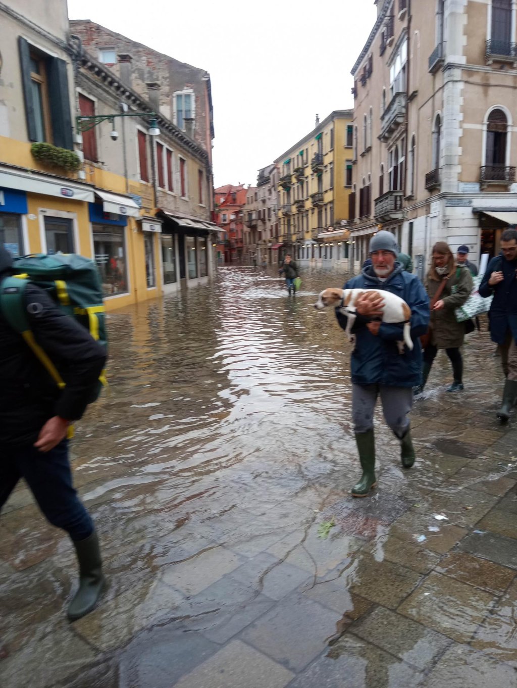 Difficult conditions for short-legged pets in Venice at the weekend.
