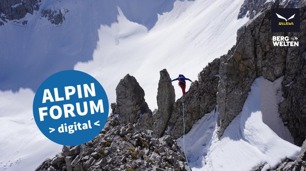 The Alpine Forum: This time digital!