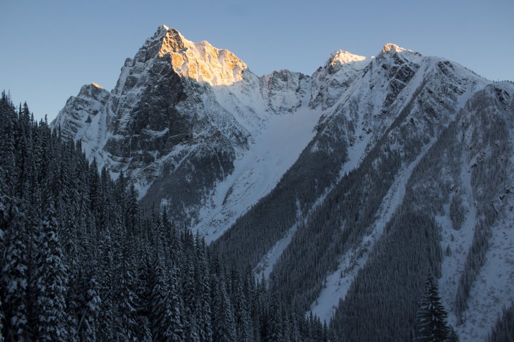 Trees in avalanche paths can provide information about past avalanche activity.