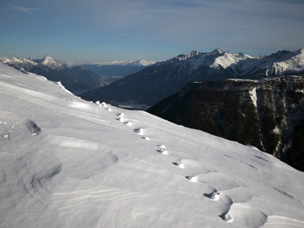 Letztes Wochenende in Tirol: je weiter oben, desto mehr Windeinfluss.