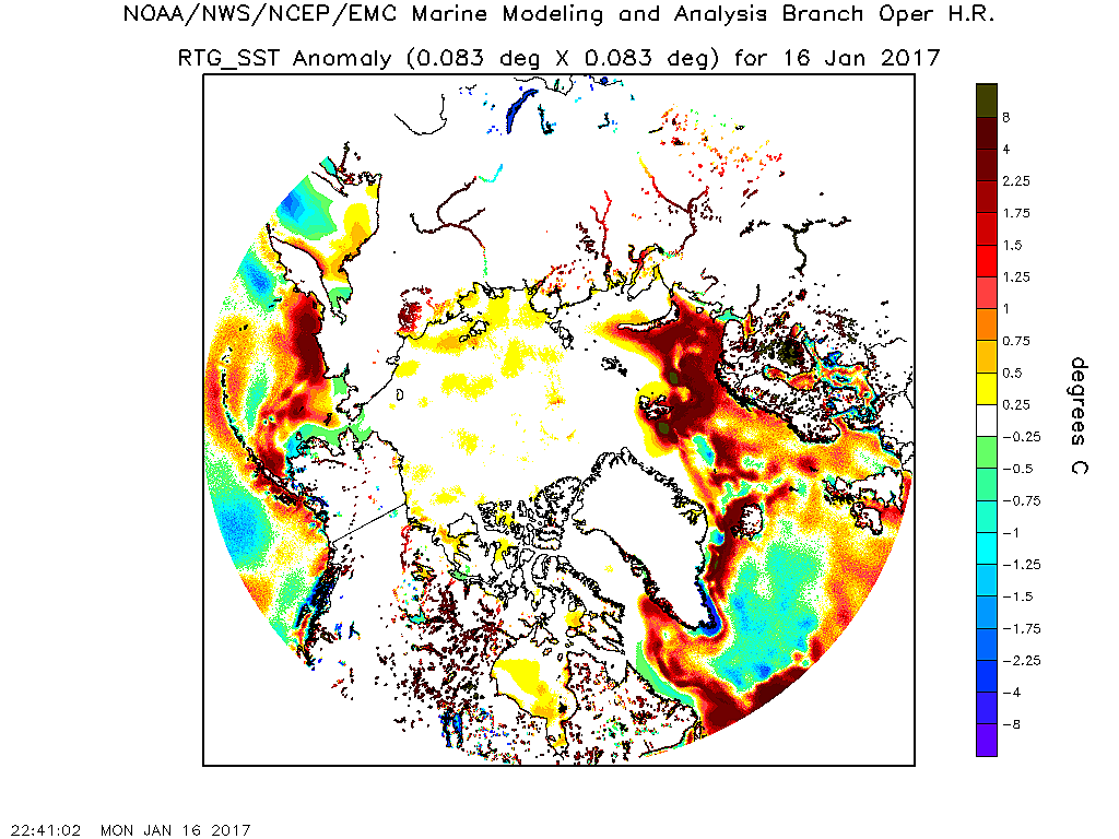 Anomalien der Meeresoberflächentemperaturen. Auch hier sieht man die ungewöhnlich hohen Temperaturen im Polarmeer. Weiße Flächen sind Land oder Meereis.